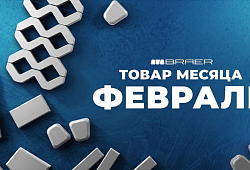 Купить кирпич БРАЕР в феврале 