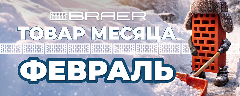 Купить Кирпич Браер - товар месяца февраль